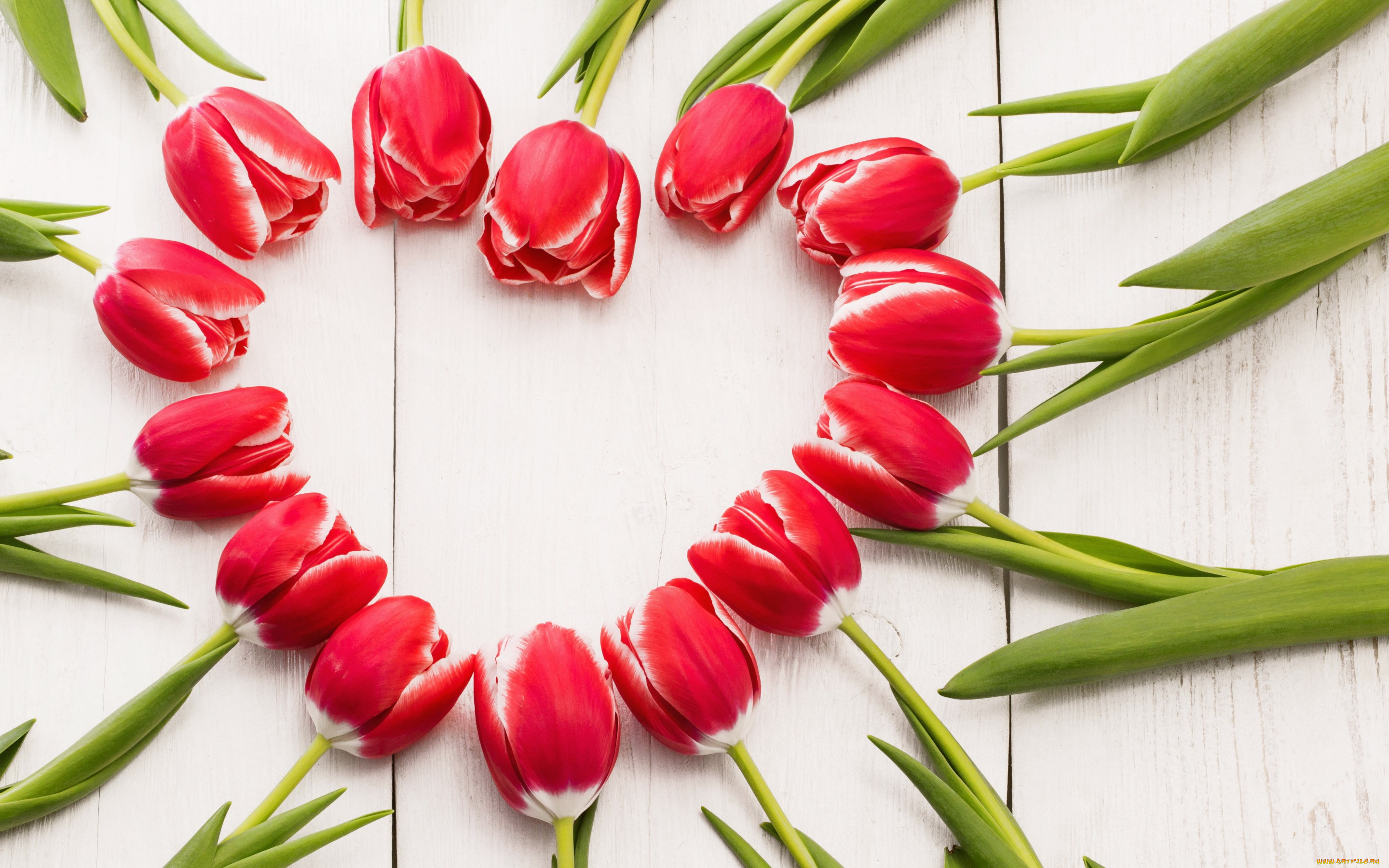 , , tulips, , spring, red, romantic, , wood, love, heart